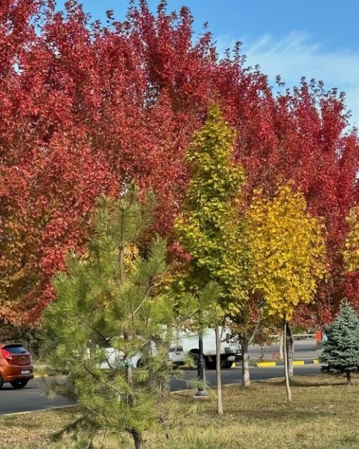 Осень в Немецкой деревне 🍁  Фото..