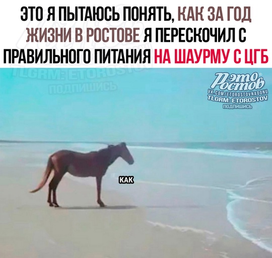 Это Ростов! Новости..