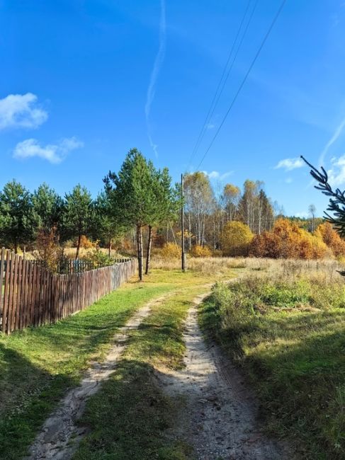 Доброе утро💛Осень в Семеновских краях 
Краски реки Керженец  фото: От Татьяны..