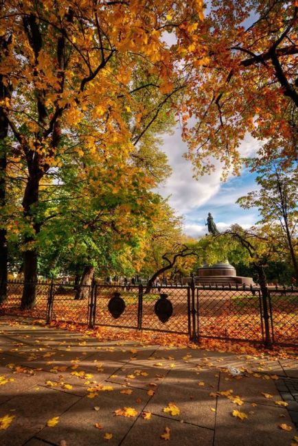 🍁Золотая осень в Петербурге..