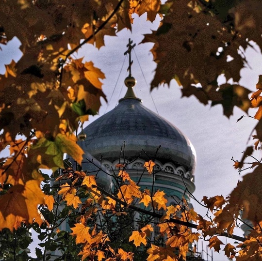 💙Прекрасная осень в..