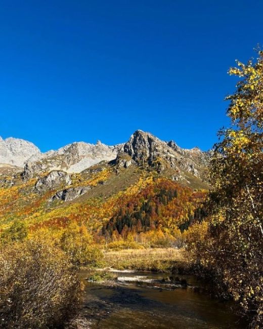 Осень на озере Кардывач 🧡🍂  Координаты: 43.572483, 40.628519  Фото: ..