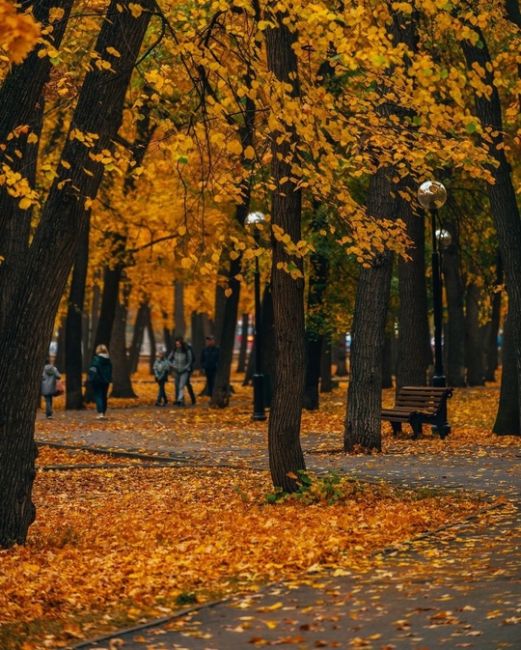 Осень в парке Гагарина..