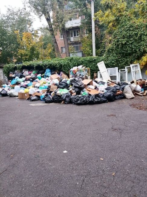 🤮 Жители дома по адресу Сержантова, 6 в Ростове-на-Дону столкнулись с неприятной ситуацией: все выходные они..