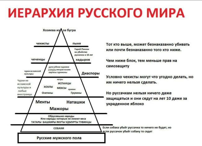 🚨Супруги Яков и Анастасия Майборода, расчленившие и прокрутившие в мясорубке свою 8-месячную дочь, получили..