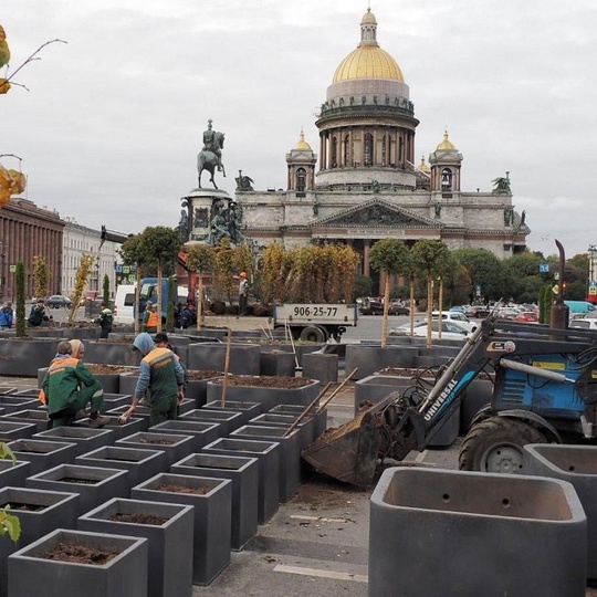 🌳На Исаакиевской площади начался демонтаж..