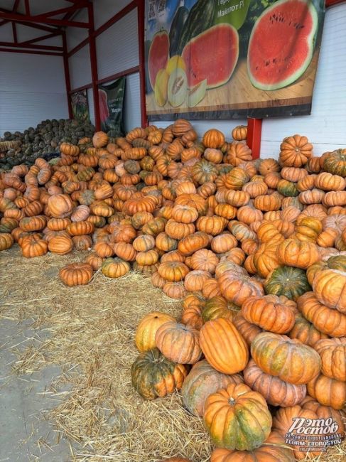 🎃🍉 Тыквенно-арзбузный рай в..