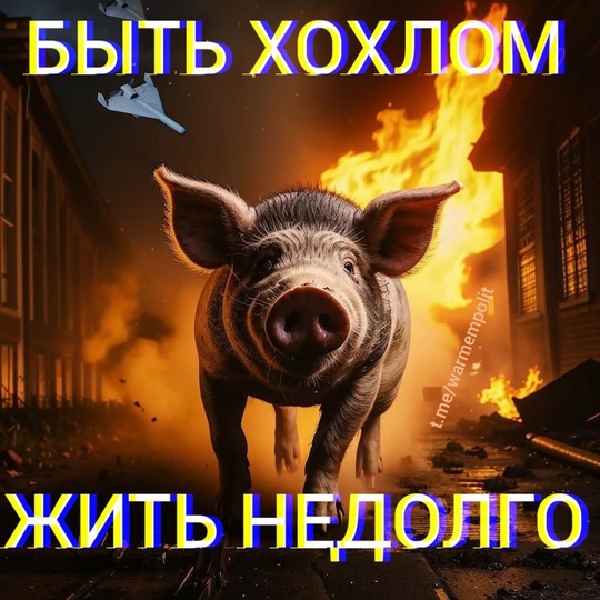 💬 Запад хочет продолжения конфликта на Украине, чтобы «поставить Россию на колени», заявил премьер-министр..