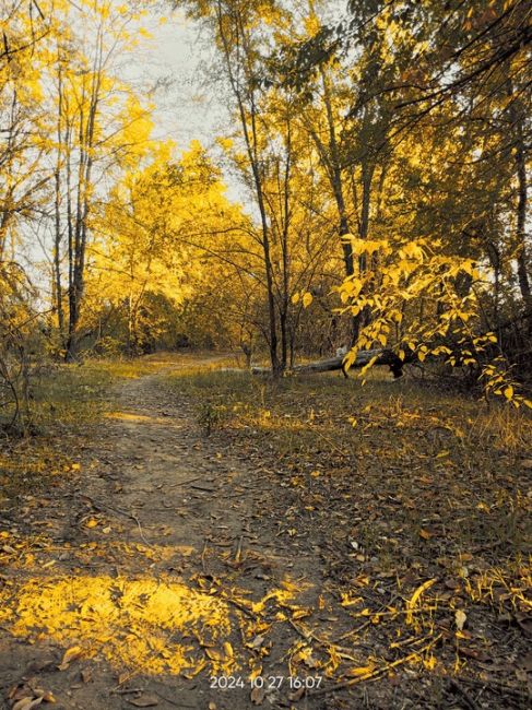 🍁 Красивый Ростов от нашего..