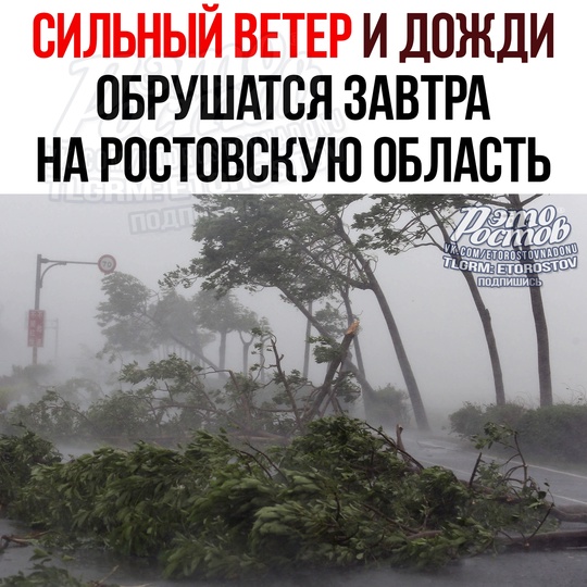 💨💦 Сильный ветер и дожди обрушатся на Ростовскую область! Непогода начнётся уже завтра. Порывы ветра могут..