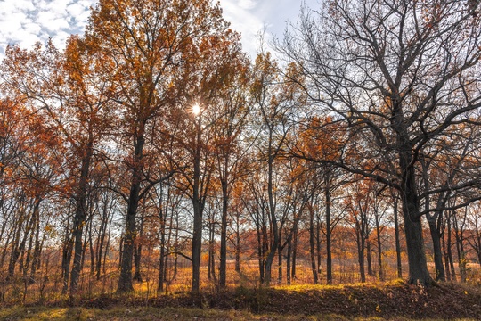 Доброе утро💛  Фото: Алексей..