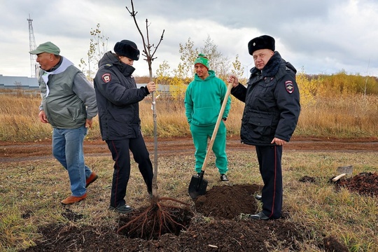 В «Саду Памяти» возле «Самара Арены» высадили деревья в рамках Всероссийской акции «Лес Победы».  Теперь в..