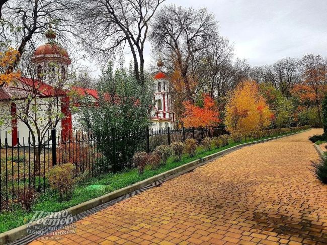 🧡Золотая осень в парке..