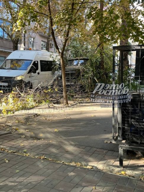 🌳 Часть дерева рухнула на грузовик на Халтуринском, 72. Его уже..