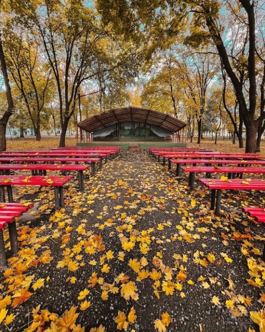 🍁🍂 Осень - это вторая весна, когда каждый лист - цветок.  Фото Дениса..