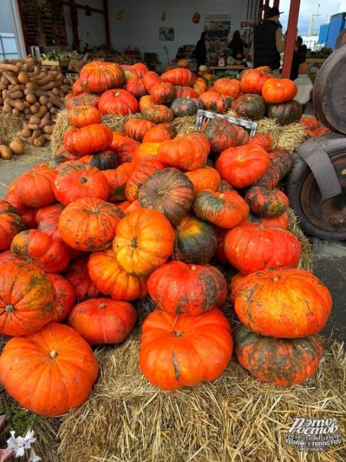 🎃🍉 Тыквенно-арзбузный рай в..