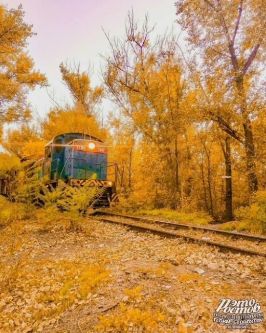 🍂🍁 Золотая осень в..