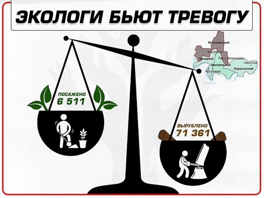 Экологи бьют тревогу, а улицы лысеют  Из предыдущих статей мы узнали, что наш город облысел. Зелёные..