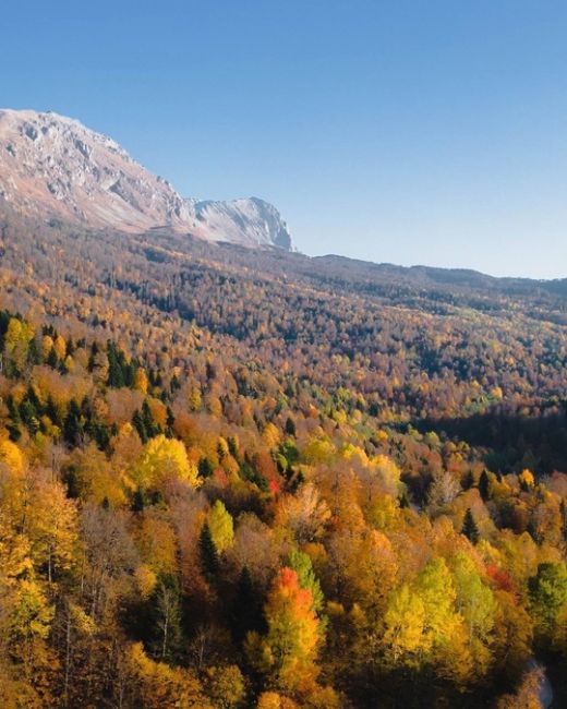 🍂🍁Самая красивая дорога Краснодарского края и Адыгеи  Просто садитесь в машину, вбивайте в навигатор..