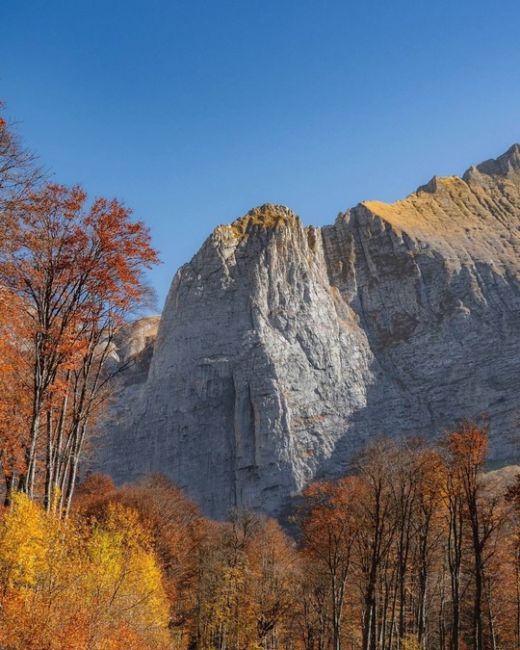 🍂🍁Самая красивая дорога Краснодарского края и Адыгеи  Просто садитесь в машину, вбивайте в навигатор..