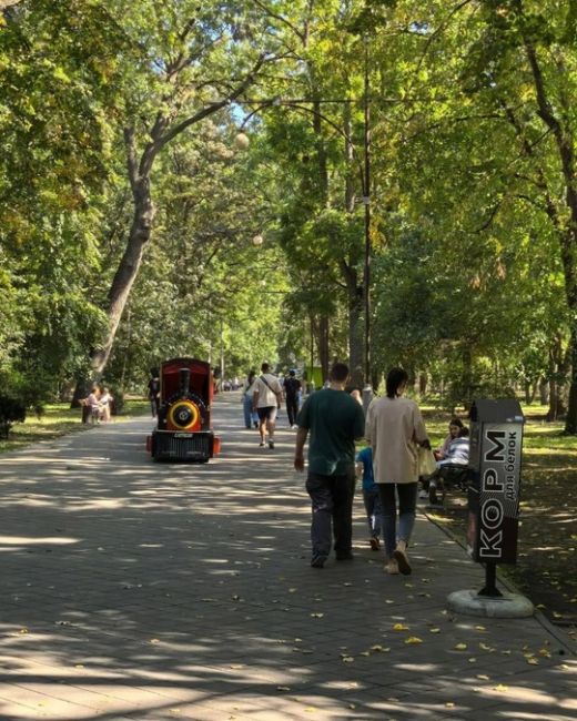 Первые выходные октября в Чистяковской роще ☀️🐿️  Фото..