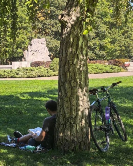 Первые выходные октября в Чистяковской роще ☀️🐿️  Фото..