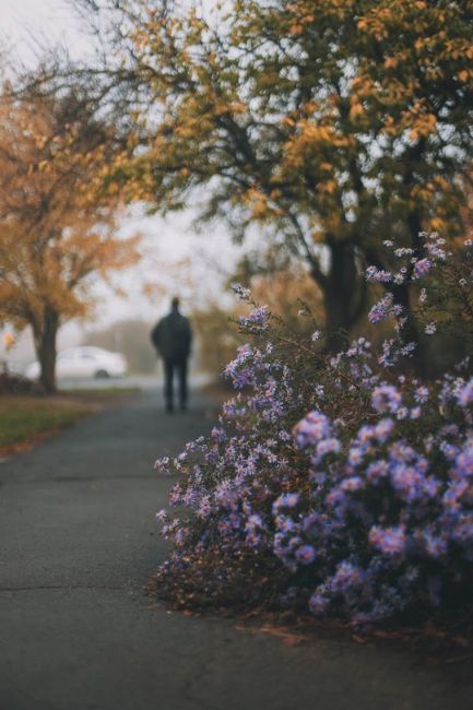 🌫 Утро в Батайске  Фото: Артём..