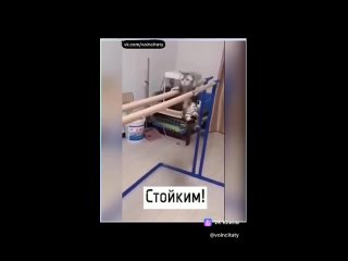 Ничего необычного, просто собакен не отпускает домашнего кота погулять 🤣
З - забота ❤  ⚠ВНИМАНИЕ!..