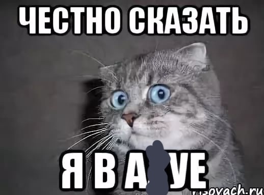 🙀 Кот впервые увидел квадробера. Конец убил 😂  ⚠ВНИМАНИЕ! [https://vk.com/video/@etorostovnadonu|Видео могут смотреть]..