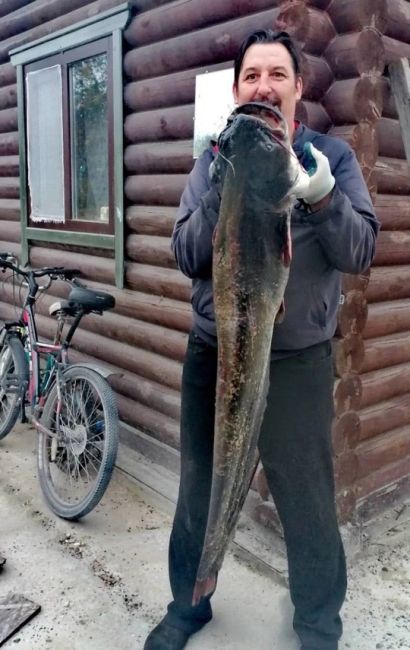 🗣️ Смотрите, какого сома поймали в Оке — весит он 12,5 килограмм.  Такую рыбку выловил член Общественного..