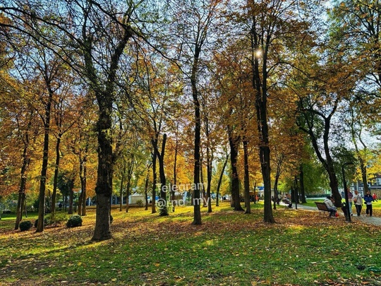 Парк Революции сегодня 😍 Осенние..