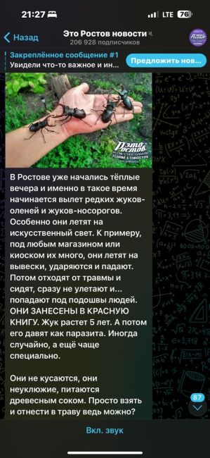 🤯 «Незваный гость залетел в квартиру. Что посоветуете сделать?», - интересуется подписчик паблика "Это..