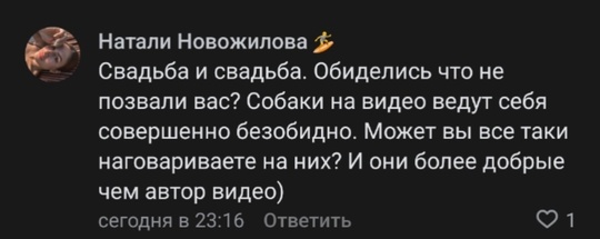 😡 «Очень возмущена популяцией собак в Батайске. Это настоящий ужас. Своры из 20 собак бегают, кусают,..