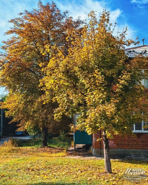 🍁😍 Золотая осень на Западном  Фото: Aлексей..