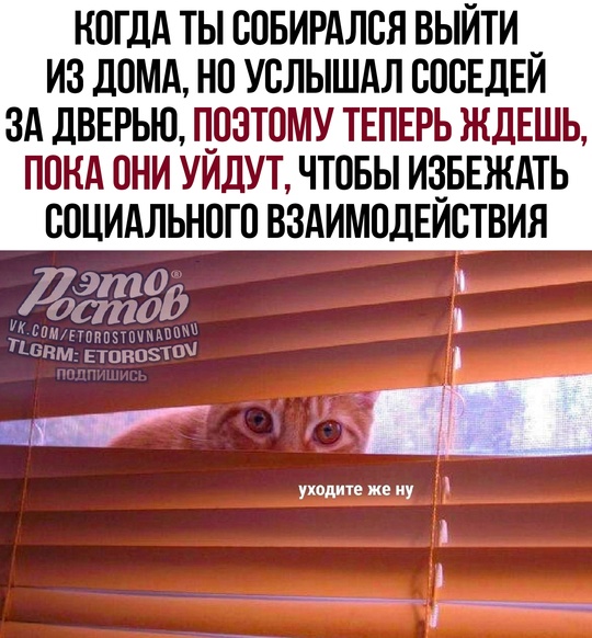 Это Ростов! Новости..