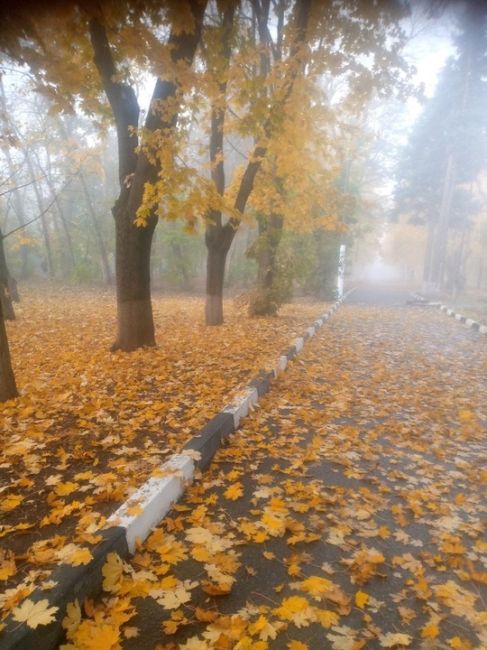 Золотая осень в Ростове..