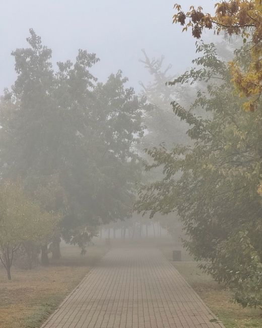 Пока вы спали, на город опустился туман 🌫️  Фото..