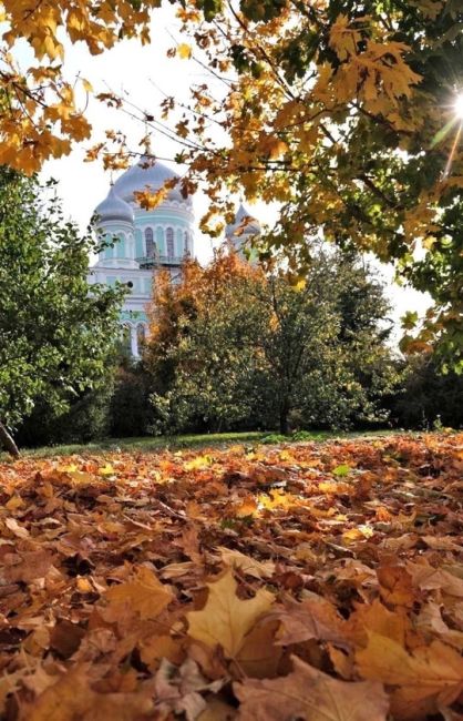 💙Прекрасная осень в..