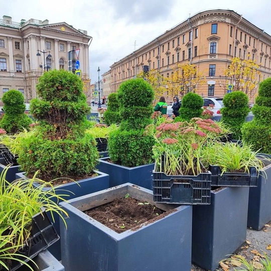 🌳На Исаакиевской площади начался демонтаж..