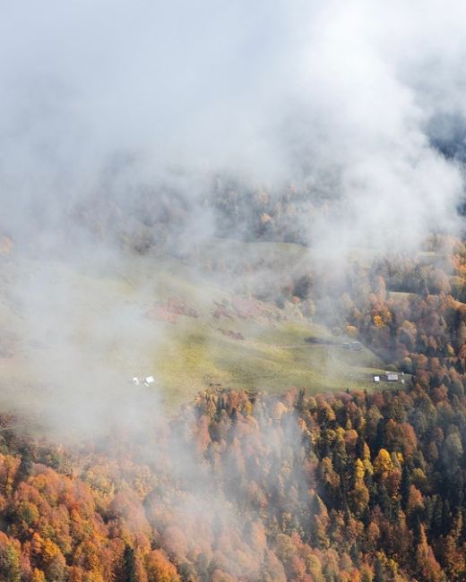 Осень в Красной Поляне 🍁  В данный момент всё окрасилось разными красками на высотах 1600-2000 м, а чуть ниже..