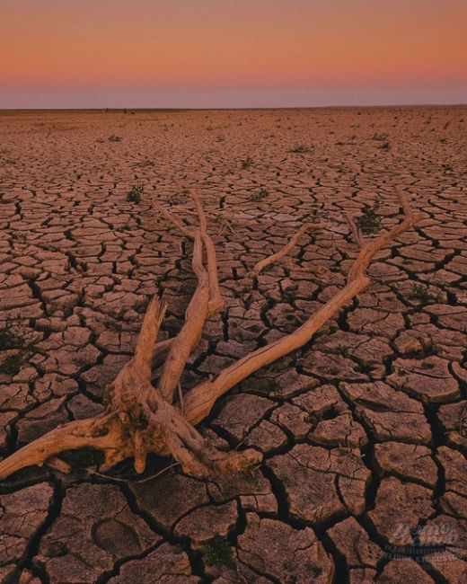 🏜 Так выглядит пересохшее краснодарское водохранилище. Будто пустыня. А всё из-за засушливого..