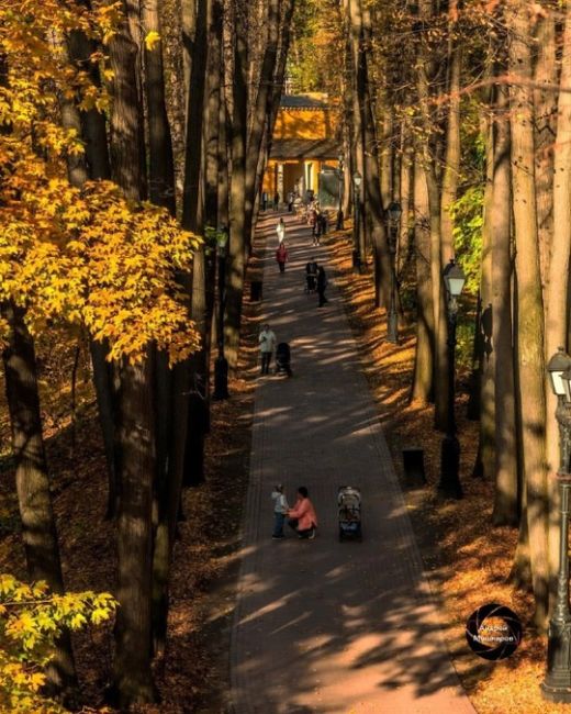 Золотая осень в Царицыно. 
Фото:..