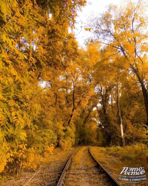 🍂🍁 Золотая осень в..