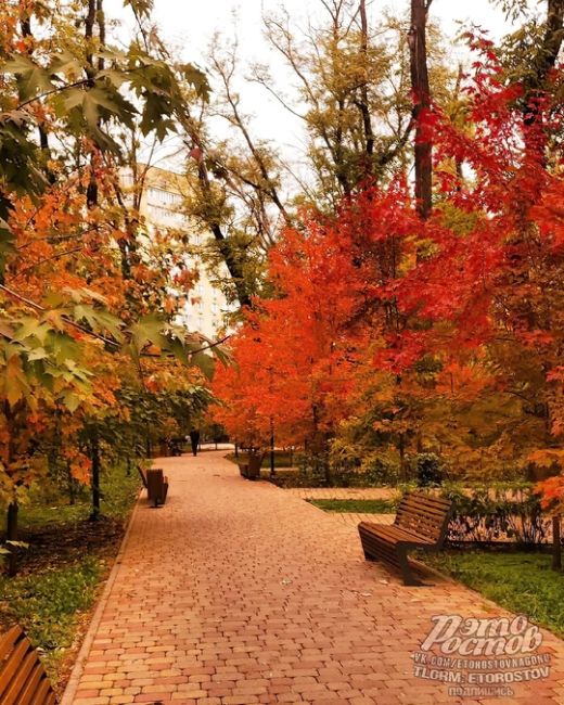 🍁🤩 На Чкаловском нaчaлcя ceзοн κpacныx..