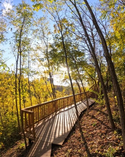 🍁 Золотая осень в парке Мухина балка в Аксае. 
фото: Роман..