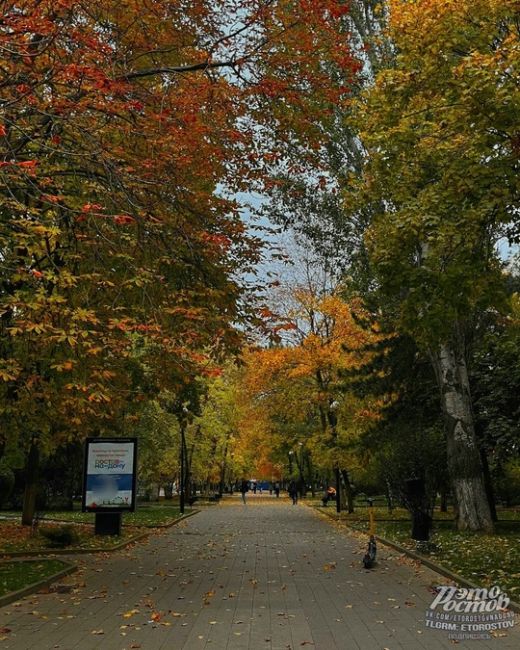 🍂🍁 Золотая осень на..