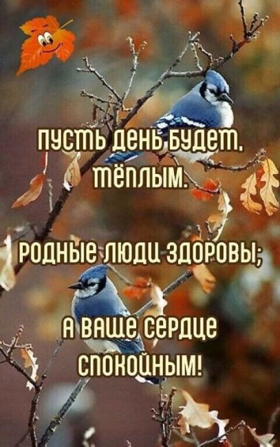 Доброе утро! Летим на работу. Жаль не на кроватке..