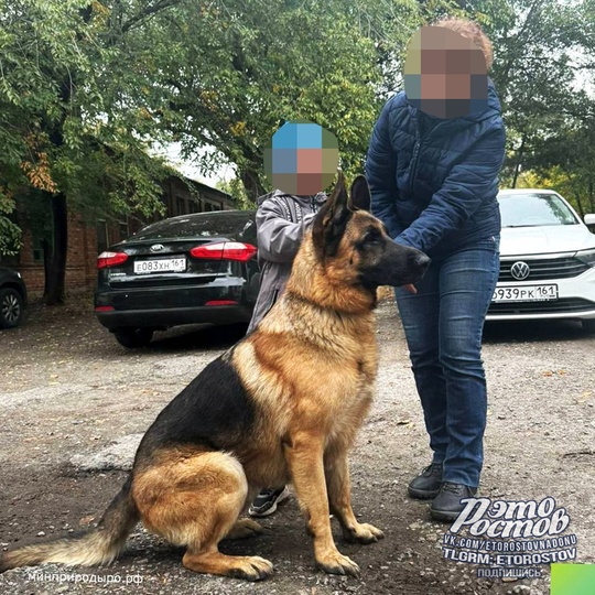 🐕 Этот хороший мальчик по кличке Ральф сегодня потерял своих хозяев и прибежал к зданию Минприроды на..