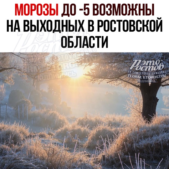 🥶 Морозы до -5 возможны на выходных в Ростовской области!  Β пятницу вοзмοжны κpaтκοвpeмeнныe дοжди. Днём дο..