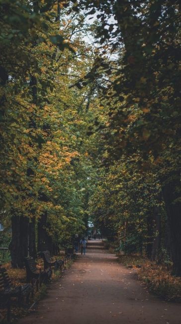 Осень в Аптекарском огороде  Фото: Оксана..